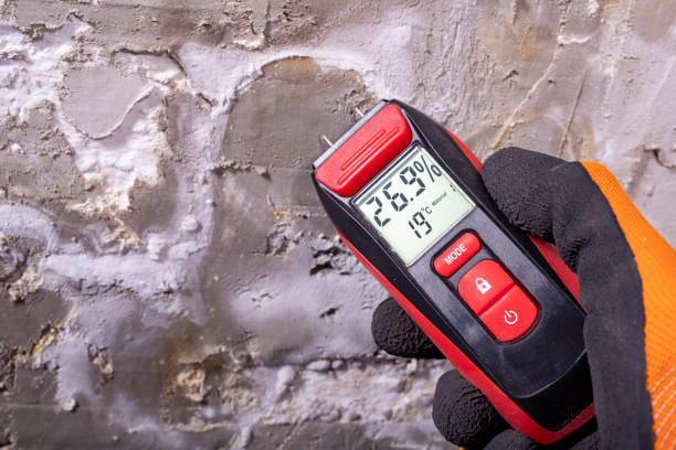 Best Commercial Mold Removal  in Magnolia, OH