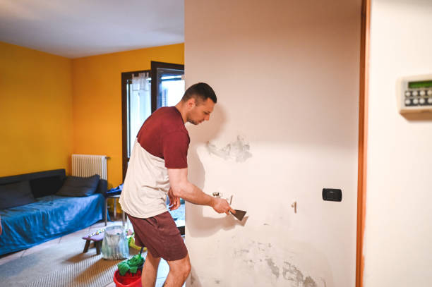 Best Fast Mold Removal  in Magnolia, OH